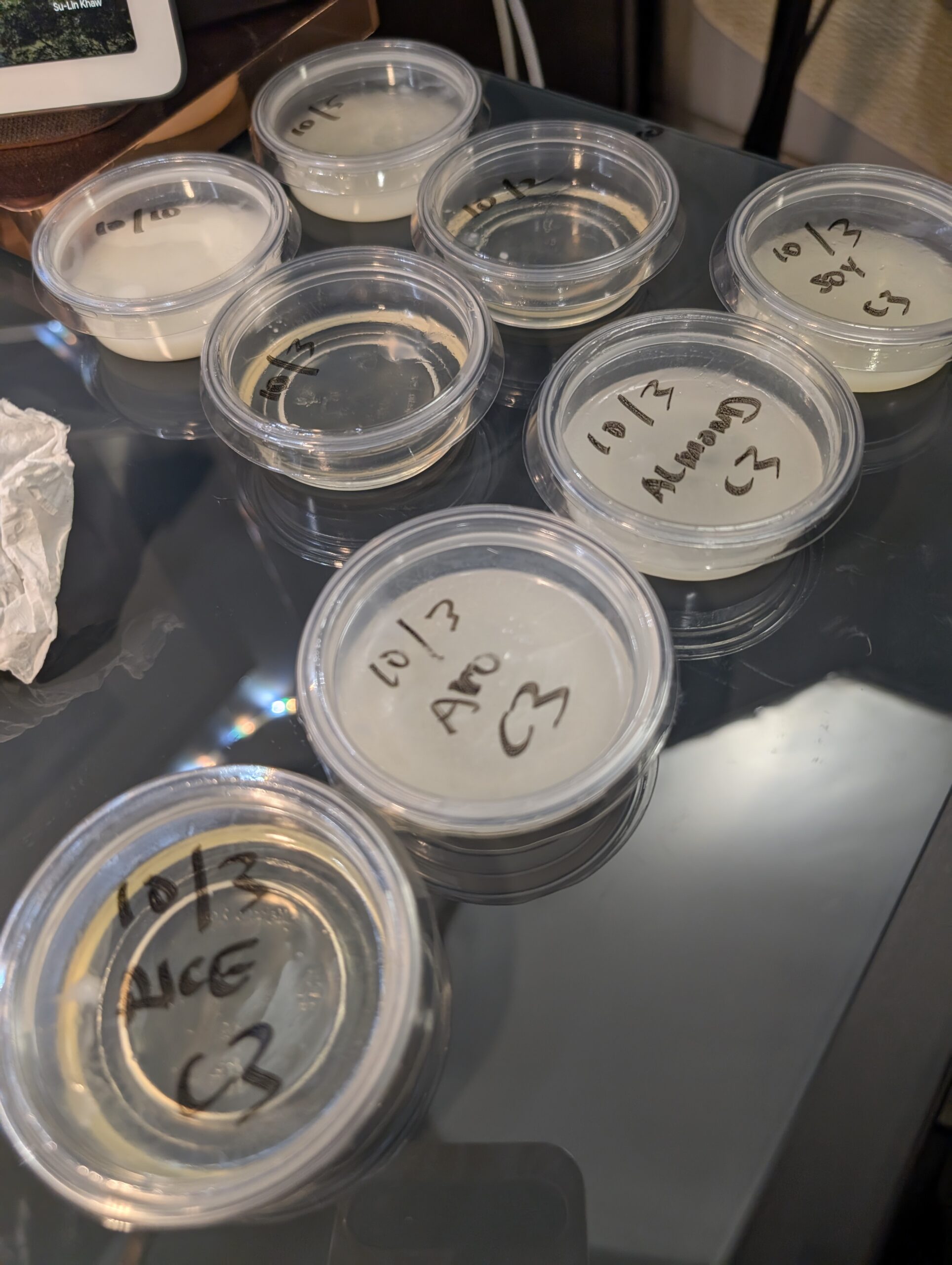 Back In Stock for Spring